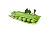 Smarta Hem - Click & Grow - Smart Garden Refill 3-pack Dwarf Pea - SGR54X3