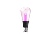 Smarta Hem - Philips Hue Lightguide E27 Edison Bulb - 1-Pack *DEMO* - 929003151501