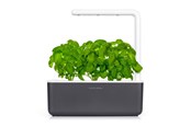 Decoration - Click & Grow - Smart Garden 3 Startkit - dark grey (SGS8UNI) - SGS8UNI