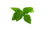 Smarta Hem - Click & Grow Click and Grow - Smart Garden Refill 3-pack Thai Basil - SGR37X3