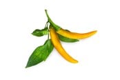 Smarta Hem - Click & Grow - Smart Garden Refill 3-pack Yellow Chili Pepper - SGR60X3