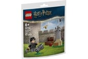 LEGO® - LEGO Harry Potter 30706 Quidditchlektion - 30706