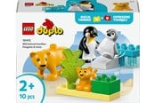LEGO®  - LEGO DUPLO 10442 Vilda djurfamiljer: Pingviner och lejon - 10442