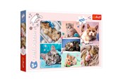Pusselspel - Trefl Puzzle - In the cat world (100 pieces) Golv - TFL16420