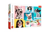 Pusselspel - Trefl Puzzle - Puzzles Cute dogs (1500 pieces) Golv - TFL26186