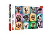 Pusselspel - Trefl Puzzle - Funny dog portraits (1000 pieces) 2D Pussel - TFL10462