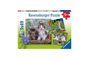 Pusselspel - Ravensburger Jigsaw puzzle Young Kittens 3x49pcs. Golv - 080465