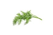 Smarta Hem - Click & Grow Click and Grow Smart Garden Refill 3-pack - Dill - SGR49X3