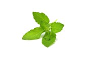 Smarta Hem - Click & Grow Click and Grow Smart Garden Refill 3-pack - Holy Basil - SGR66X3