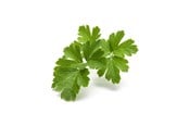 Smarta Hem - Click & Grow Click and Grow Smart Garden Refill 3-pack - Plain Parsley - SGR68X3