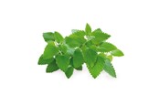 Smarta Hem - Click & Grow Click and Grow Smart Garden Refill 3-pack - Catnip - SGR29X3