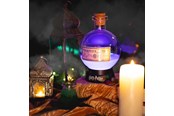 Leksaker - Fizz Creations Harry Potter Potion Lamp - Large - 5060960743930