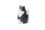 Decoration - Kikkerland - Solar Cat - 1621