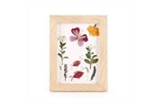 Decoration - Kikkerland - HUCKLEBERRY PRESSED FLOWER FRAME (HB02-F) - HB02-F