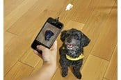 Andra mobiltillbehör - Kikkerland - Dog Treat Selfie Clip (DIG01) - DIG01