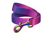 Hundar - Waudog gradient nylon dog leash 20mm wide 122cm - 46619