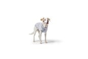 Hundar - Hunter - Dogcoat Birka 45 grey - (203480) - 203480