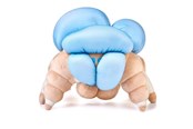 Merchandise - Numskull - Destiny: Screeb Hatchling - Plysch - NS4269
