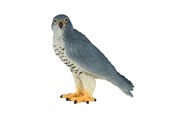 Figure - Mojo - Wildlife Peregrine Falcon - 381056