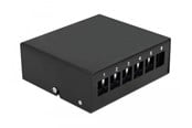 Nätverks tillbehör - DeLOCK Blank Keystone Patch Panel - 43411