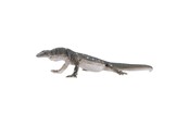 Figure - Mojo - Wildlife Perentie Lizard - 381061 - 381061