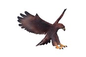 Figure - Mojo - Wildlife Golden Eagle - 381051