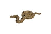 Figure - Mojo - Wildlife Green Anaconda - 381007