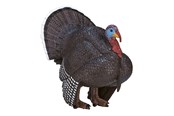 Figure - Mojo - Farmland Male Turkey - 387285