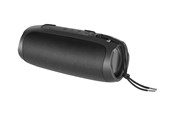 Bärbar & festhögtalare - STREETZ S350 - speaker - for portable use - wireless - S350-BLK