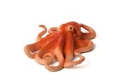 Figure - Mojo - Sealife Octopus - 387275
