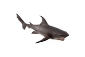 Figure - Mojo - Sealife White Shark Large - 387279