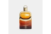 Parfym och dofter - Afnan Revival Portrait EDP 100ml - 6290171073932