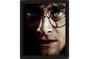 Merchandise - Pyramid - Wall Art - Harry Potter vs Voldemort 3D Framed 20x - Bild - EPPL71335