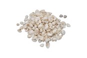 Konst- och hantverksmaterial - Colorations - Small Ark Shells 500 grams - 38WD12