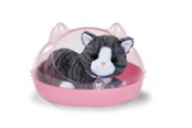 Dockor & Tillbehör - Baby Born My Cat Cookie with Box - 837580