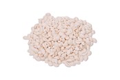 Konst- och hantverksmaterial - Colorations - Seashells Kauri 300g - 38WD26