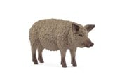 Schleich - Schleich ungerskt ullsvin (Mangalica) - 14892