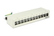 Nätverks tillbehör - DeLOCK Keystone Desktop Patch Panel - 12 Ports - 43335