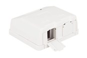 Nätverks tillbehör - DeLOCK Keystone Surface Mounted Box - 86236