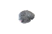 Mikrofoner - Rycote Windjammer FWS 40/55 - RYC055378