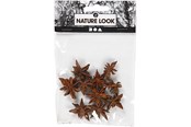 Konst- och hantverksmaterial - Creativ Company - Star Anise 10 pcs. - 50244