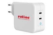 Mobile - Adapters & Chargers - Roline power adapter - 24 pin USB-C - 100 Watt - 19.11.1053