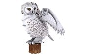 Pusselspel - Cubic Fun 3D Puzzle National Geographic Snow Owl 3D pusselspel - 2012564