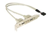 USB-kabel - DeLOCK USB Panel - 10 pin USB Header to USB - 30 cm - 71000