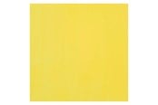 Kreativa spel - Bruynzeel Ecola Poster Paint Bottle 16ml Lemon Yellow (Primary) 205 - 09162050