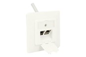 Nätverks tillbehör - DeLOCK Keystone Wall Outlet - 2 Port Compact - 86219