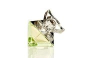 Parfym och dofter - Britney Spears Believe Eau de Parfum 30 ml - 719346117708