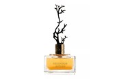 Parfym och dofter - Aurora Deciduous Autumn Eau De Parfum For Women 100 ml - 6290360540269