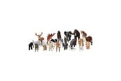 Figure - Mojo Play Animals School Package 23 pcs. - 8450001