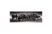 Pusselspel - Clementoni Jigsaw Puzzle Herd of Giants 1000pcs. Golv - 39895